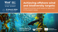 Achieving offshore wind and biodiversity targets: opportunities and lessons learned in Europe’s seas