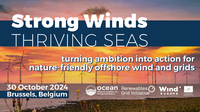 Strong Winds, Thriving Seas: turning ambition into action for nature-friendly offshore wind and grids