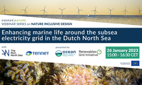 Webinar: Enhancing marine life around the subsea electricity grids in the Dutch North Sea