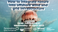 Workshop: How to integrate nature into offshore wind and grid infrastructure - a spotlight on offshore auctioning