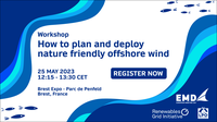 Workshop: How to plan and deploy nature friendly offshore wind