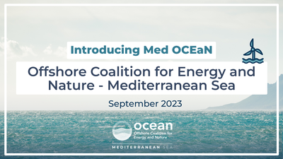 Launch of the Offshore Coalition for Energy and Nature – Mediterranean Sea (Med OCEaN)
