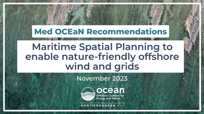 Med OCEaN publishes recommendations to ensure nature-friendly offshore wind and grid development