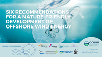 OCEaN German WG: Six recommendations for a nature-friendly development of offshore wind energy