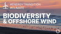 OCEaN Members featured in video 'Offshore wind energy infrastructure and biodiversity'