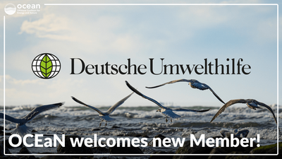 OCEaN welcomes Environmental Action Germany (Deutsche Umwelthilfe) as a new Member