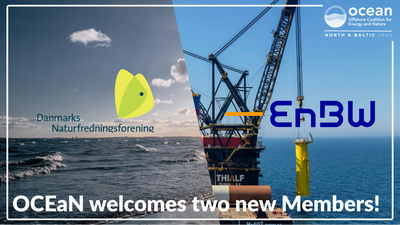 OCEaN welcomes new Members EnBW and the Danish Society for Nature Conservation