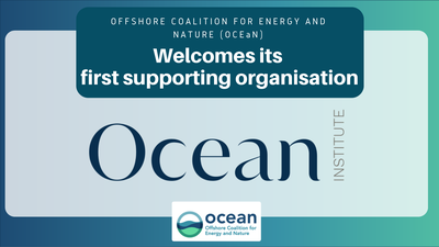 The Offshore Coalition for Energy and Nature welcomes its first supporting organisation