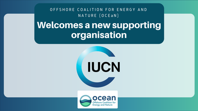 The Offshore Coalition for Energy and Nature welcomes IUCN as a new supporting organisation