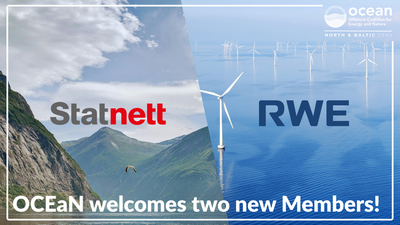 The Offshore Coalition for Energy and Nature welcomes two new Members: Statnett and RWE