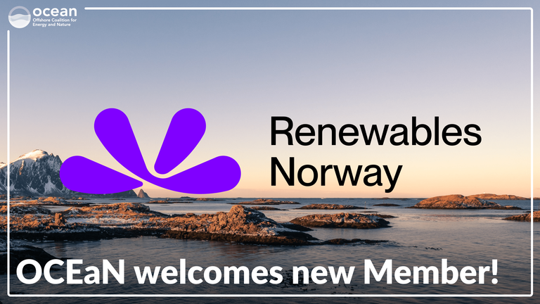 Renewables Norway 1(1)-min.png
