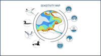 BirdLife Video on Sensitivity Mapping: Accelerating offshore wind expansion and protecting nature