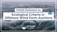 OCEaN Statement on ecological criteria in offshore wind farm auctions