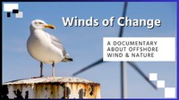 Winds of Change documentary launched by BirdLife Europe and Central Asia